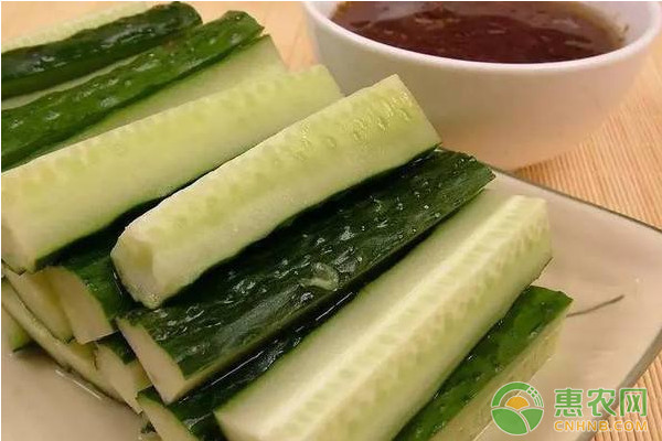 北方早春黄瓜优质丰产栽培技术