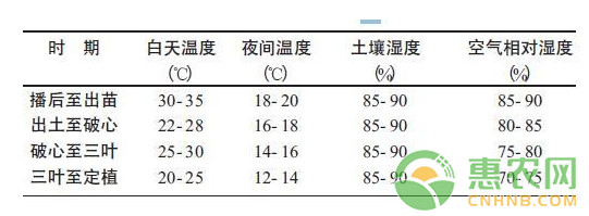 日光溫室冬春茬西瓜育苗技術(shù)