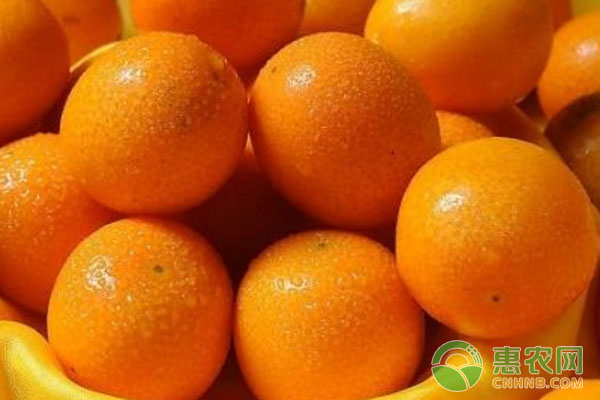瓜菜類(lèi)細(xì)菌病害