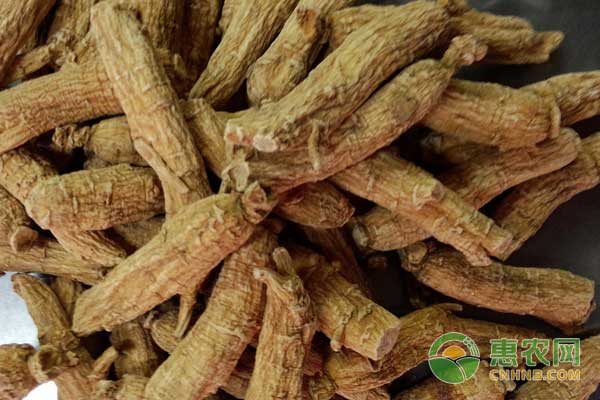中藥材赤芍種植技術(shù)及效益分析