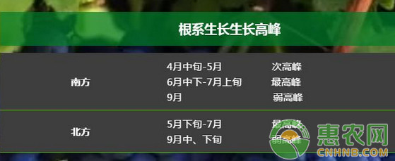 葡萄種植課堂：葡萄全年關(guān)鍵追肥時間點