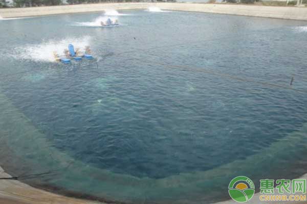 綠色水、藍(lán)色水哪個(gè)才是好水？根據(jù)水色判斷水質(zhì)小技巧