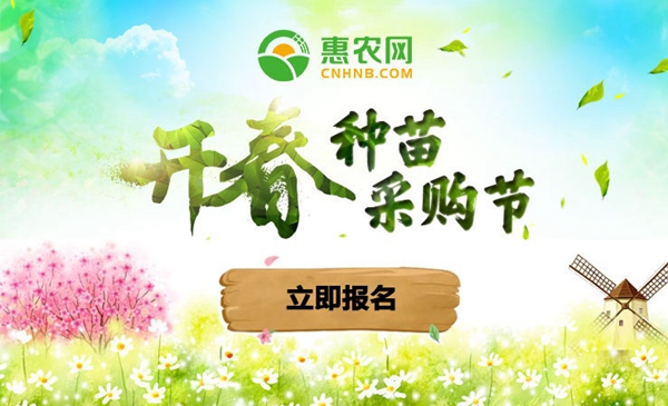 http://m.cnhnb.com/zhuanti/zmjzt/?=zndl