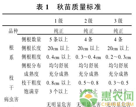 葡萄園如何建園？葡萄園全套建園方案