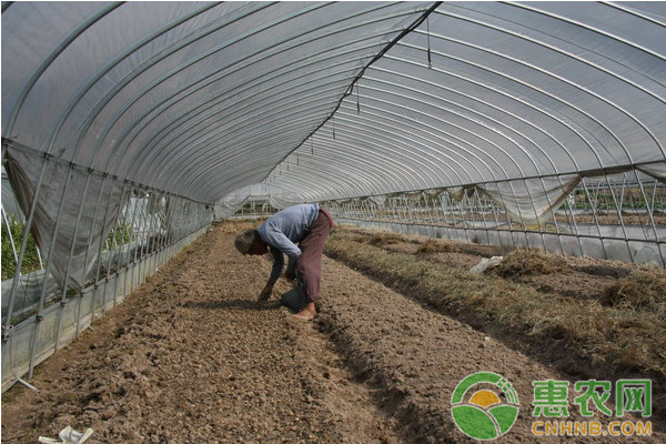 設施大棚菜秸稈生物反應堆技術