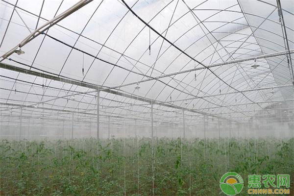 蔬菜設(shè)施栽培中的連作危害及預(yù)防措施