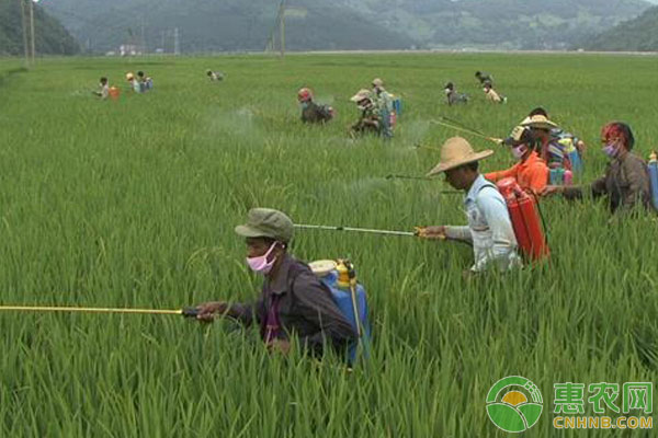 農(nóng)藥失效鑒別方法及失效農(nóng)藥的處理措施