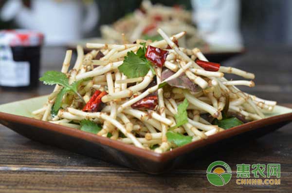 保健蔬菜魚(yú)腥草種植技術(shù)及效益分析