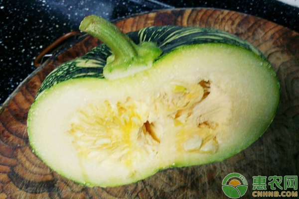 嫩南瓜種植技術(shù)
