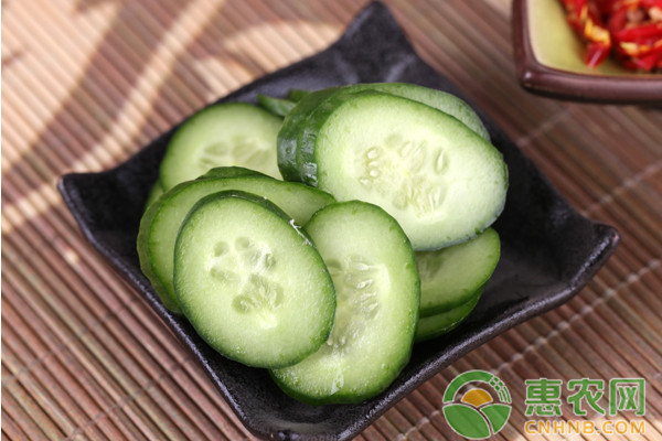 棚室水果黃瓜優(yōu)質(zhì)豐產(chǎn)栽培管理技術(shù)