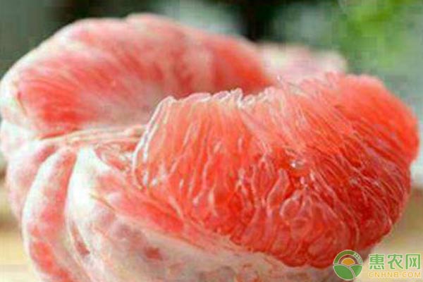 如何種植紅心柚？紅心柚種植技術(shù)及選址條件
