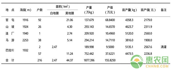 南方地區(qū)雪里蕻高產(chǎn)種植技術(shù)及病蟲害防治