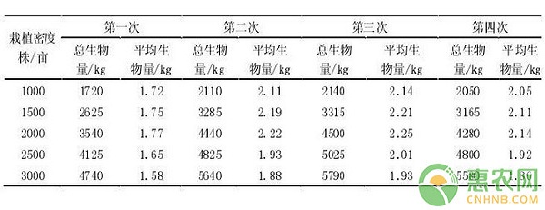 雜交構(gòu)樹怎么種植？雜交構(gòu)樹高效種植管理技術(shù)