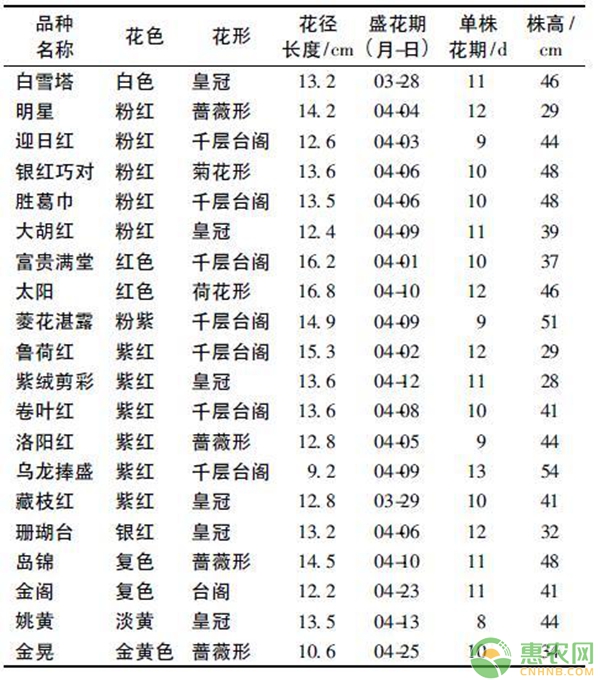 表1 20 个盆栽牡丹品种的开花情况