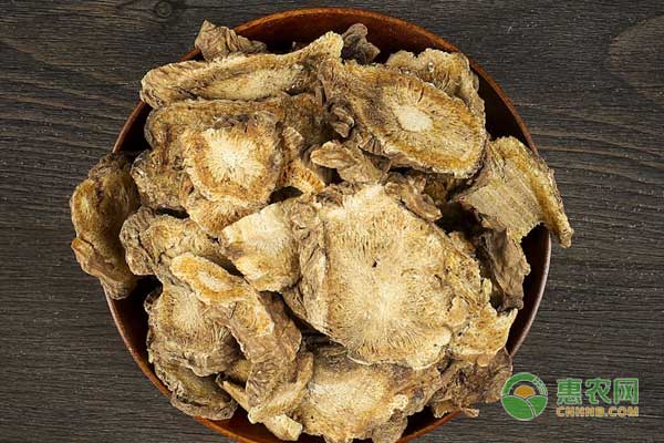 中藥材獨(dú)活怎么種？獨(dú)活高效種植技術(shù)