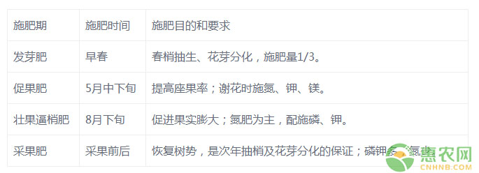 柑橘生長元素不足或過多的表現(xiàn)癥狀(附全年施肥管理表)
