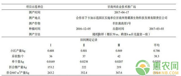 高寒阴湿地区羊肚菌日光温室高产种植技术