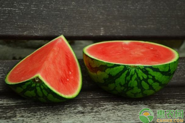 早晚茬無(wú)籽西瓜快速育苗技術(shù)及管理要點(diǎn)