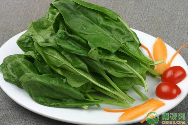中草药制剂对作物的作用有哪些？防病治病、提质增效