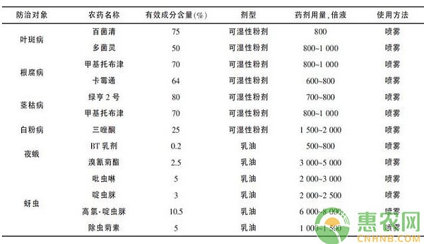 扶芳藤怎么育苗？扶芳藤扦插育苗技術(shù)規(guī)范