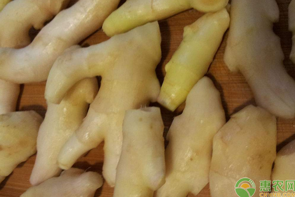 子姜怎么種能豐產(chǎn)？