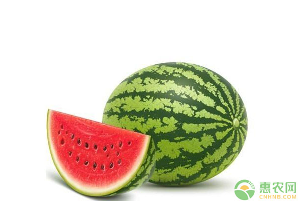 西瓜高產(chǎn)種植技術(shù)（珍藏版?。? width=