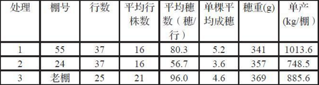淺析不同溫度對設施日光溫室夏黑葡萄的生長影響