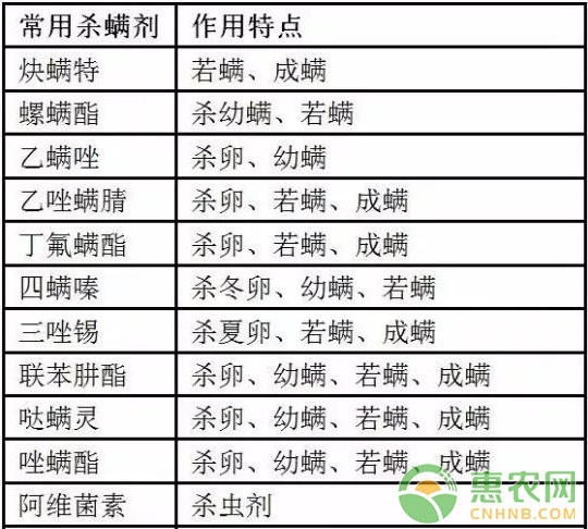 芒果紅蜘蛛蟲害的危害及其防治技術(shù)（內(nèi)附用藥指南）