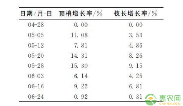 紅色沙梨怎么種？紅色沙梨新品種“彩云紅”的栽培技術(shù)詳解