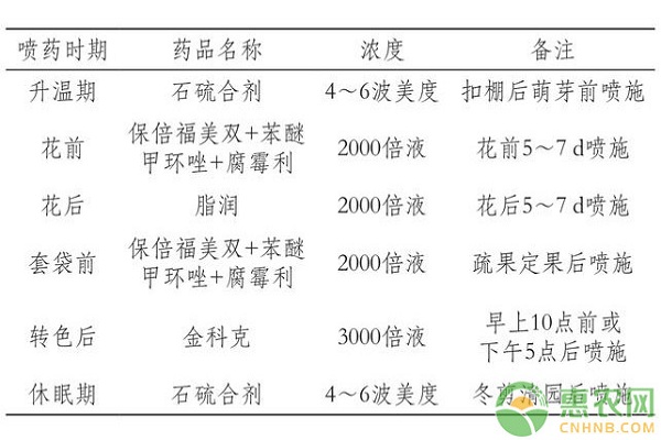 河西走廊红巴拉多葡萄促成栽培关键技术