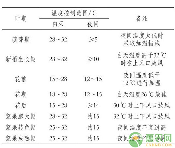 河西走廊红巴拉多葡萄促成栽培关键技术