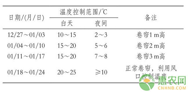 河西走廊红巴拉多葡萄促成栽培关键技术