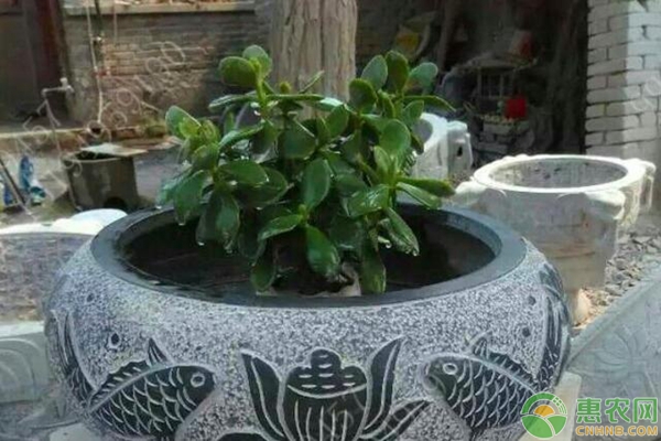 花器