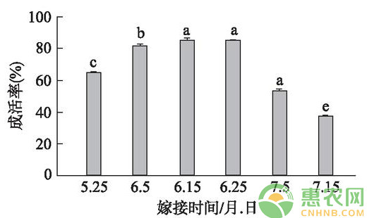 淺談核桃改良型芽接技術(shù)的成活率