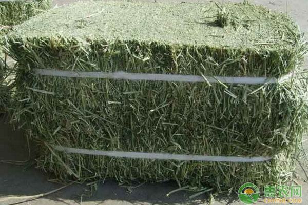 淺談草顆粒飼料加工技術