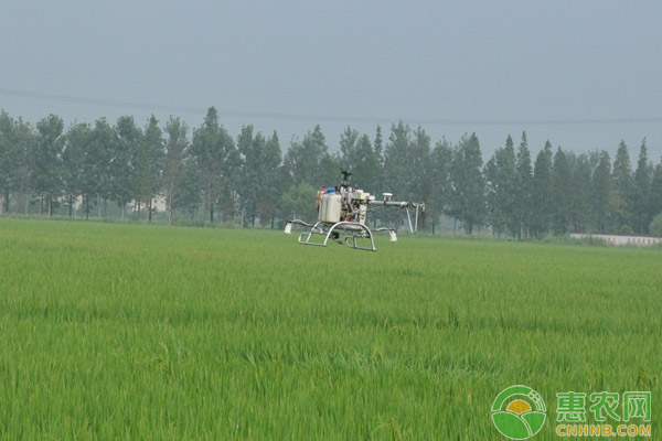 如何正確使用農(nóng)藥藥劑？<a href='http://www.iweekee.cn/t/116606.html' class='j-href' target='_blank'><span style='color:#FF8001'>農(nóng)藥使用</span></a>的幾個(gè)要點(diǎn)