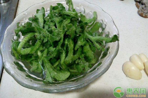 這種新型“水晶蔬菜”，已成為餐桌新貴（附冰菜種植方法）