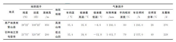 禿杉怎么栽培？珍貴樹種禿杉引種栽培技術(shù)的研究