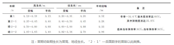 禿杉怎么栽培？珍貴樹種禿杉引種栽培技術(shù)的研究
