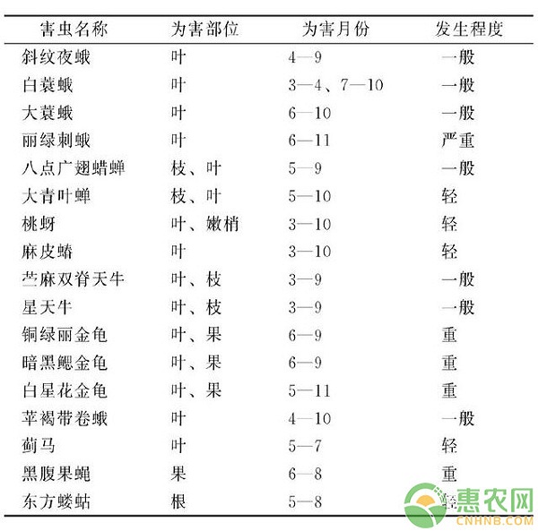 寧波地區(qū)藍(lán)莓病蟲(chóng)害主要種類(lèi)及綠色防控技術(shù)