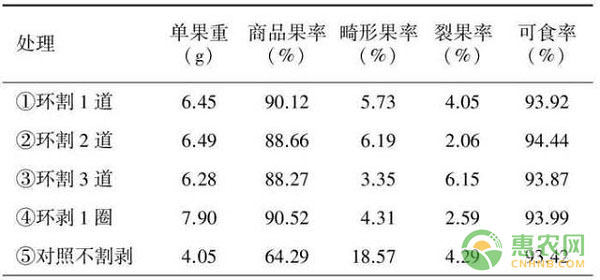 浅谈环割、环剥对灰枣幼树果实产量及品质的影响-图片版权归惠农网所有