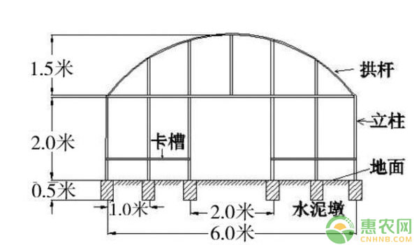 葡萄种植设施模式和设施类型