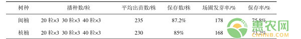 祁門縣閩楠和楨楠兩年生容器苗育苗技術(shù)
