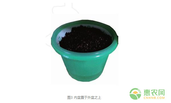 花卉種植技術(shù)：半水土濕氣盆設(shè)計要點(diǎn)