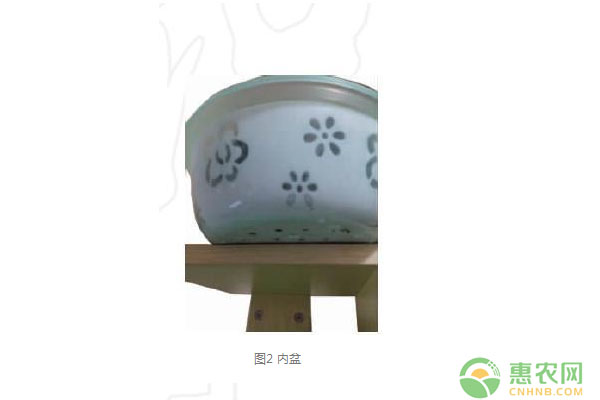 花卉種植技術(shù)：半水土濕氣盆設(shè)計要點(diǎn)