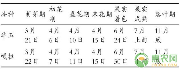 河南商丘蘋果早熟品種的引種栽培技術(shù)