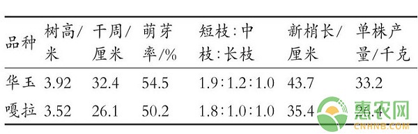 河南商丘蘋果早熟品種的引種栽培技術(shù)