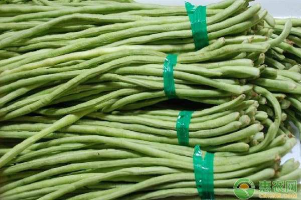 豆角怎么種才高產(chǎn)？豆角的高產(chǎn)施肥方法詳解