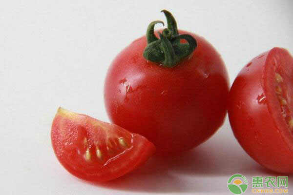 廣東省博羅縣櫻桃番茄嫁接豐產(chǎn)種植技術