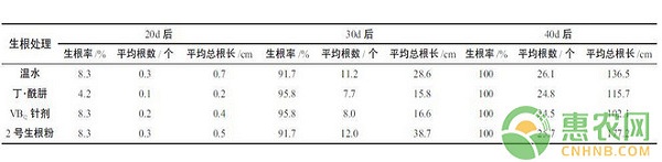 杜鹃扦插繁殖技术研究